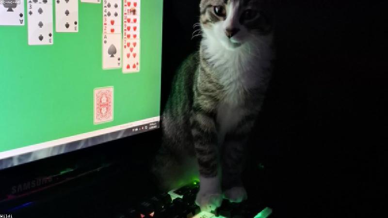 91在线观看内容库海量资源视觉升级